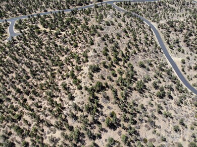DJI_0135