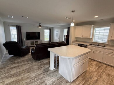 12116 SW County Road 769 unit 247, Lake Suzy, FL 34269 - photo 6