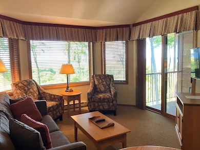 4908 Landmark Cir unit 1321, Egg Harbor, WI 54209 - photo 5