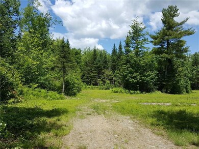 Clearing at the end of the driveway