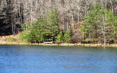 Additional View