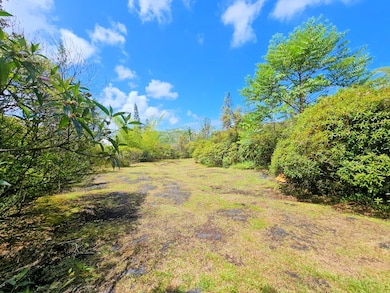 15-2031 24th Ave, Keaau, HI 96749 - photo 2