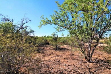 End Of E Sianna Dr E, Marana, AZ 85658 - photo 4
