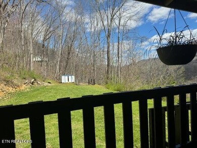Back Porch View