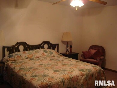 115 Pin Oak Ln, Harrisburg, IL 62946 - photo 7