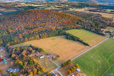 20 Six Mile Rd, Somerville, AL 35670 - photo 5