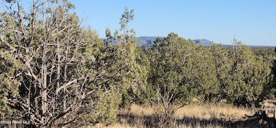 88-A Rose Ln, Ash Fork, AZ 86320 - photo 3