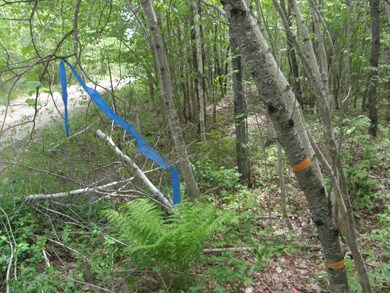 M10L4 Stone Bridge Rd, Garland, ME 04939 - photo 3