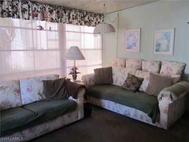 11561 Dwarf Ginseng Dr unit 294, Fort Myers, FL 33908 - photo 4