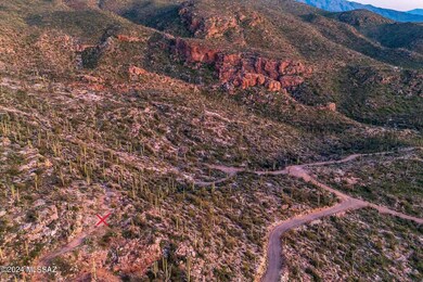 13013 E Cabeza de Vaca St unit Lot C, Tanque Verde, AZ 85749 - photo 3