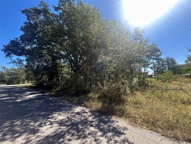 0 Bluebonnet Dr, Gun Barrel City, TX 75156 - photo 2