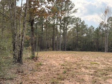 7629 Trinity Pines Dr, Montgomery, TX 77316 - photo 5