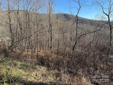 000 Trillium Ln unit 30, Mars Hill, NC 28754 - photo 5