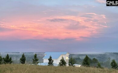 3945 Golden Crane Pass, Lexington, SC 29073 - photo 4