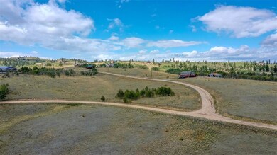 322 Hawk Way, Como, CO 80432 - photo 7