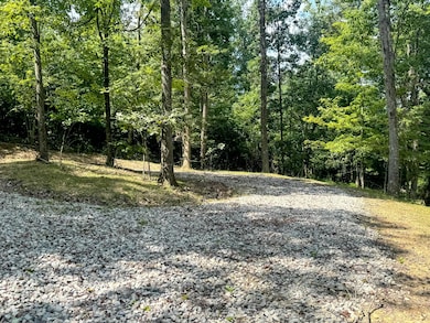 266 Golf Course Rd unit (Tract 9 Skyline Acr, Pebble Township, OH 45690 - photo 5