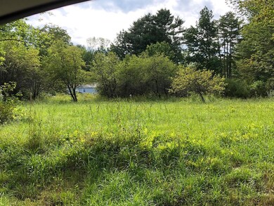 111 Gib Lockerby Rd, Grafton, VT 05146 - photo 2