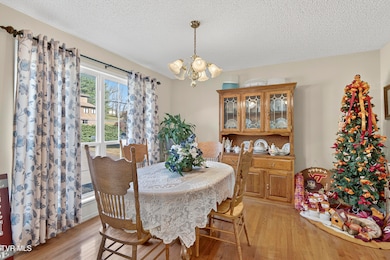 18403 Ironwood Loop, Abingdon, VA 24210 - photo 7