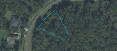 0 Daffodil Cove unit 313621, Crawfordville, FL 32327 - photo 3