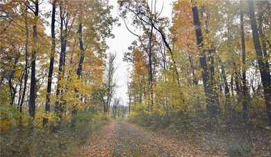 2519 Red Hill Rd, Slatington, PA 18080 - photo 2