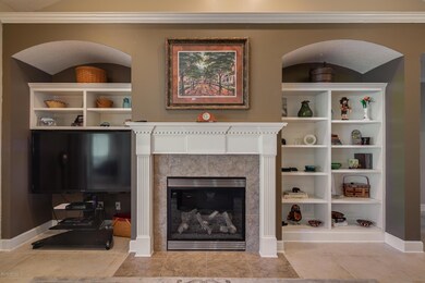 Gas Fireplace and Built Ins