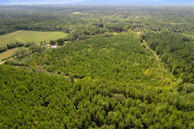 Parcel 3, Tylertown, MS 39667 - photo 2