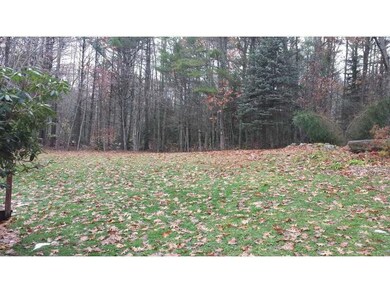 Yard/Garden.