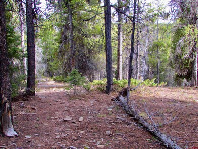 175 Saddle Ridge Rd, Crested Butte, CO 81224 - photo 6