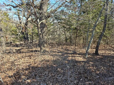View of local wilderness