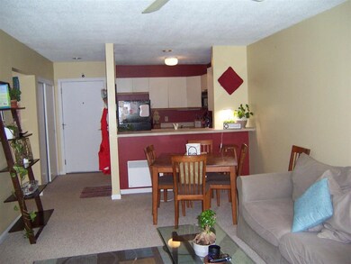 23 New Hampshire 49 unit 5, Campton, NH 03223 - photo 5