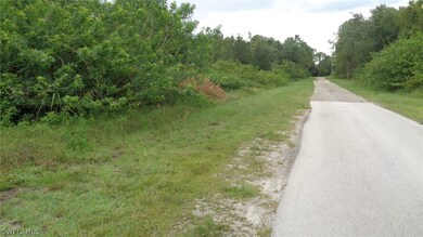 2109 Robert Ave, Alva, FL 33920 - photo 4