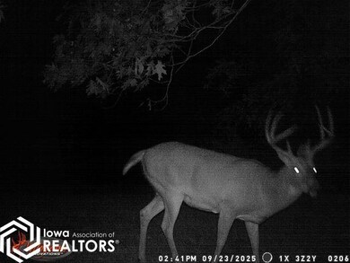 1701 N 14th St, Centerville, IA 52544 - photo 2