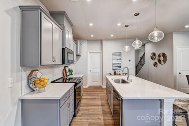 9208 Pagoda Oak Dr, Charlotte, NC 28269 - photo 5