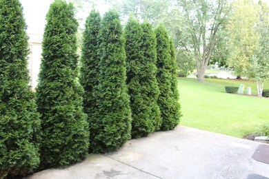 1656 Castbourne Ct, Wheaton, IL 60189 - photo 6