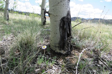 437 Overland Cir, Jefferson, CO 80456 - photo 6