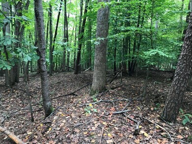 Lot 2C Wilderness Way, Moneta, VA 24121 - photo 3