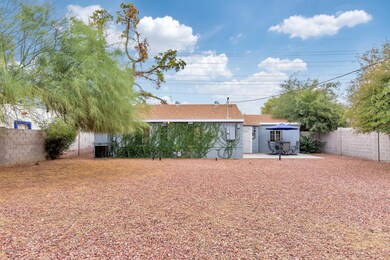 1624 W Thomas Rd-large-021-029-Backyard-