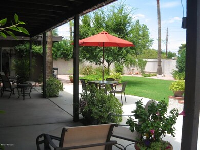 Back Patio