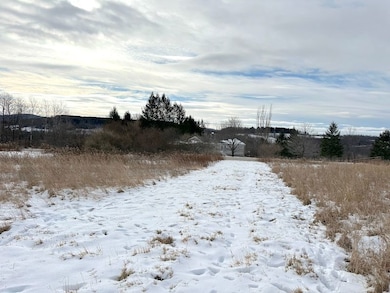 0 Williams Rd unit LotWP003, Rathbone, NY 14801 - photo 7