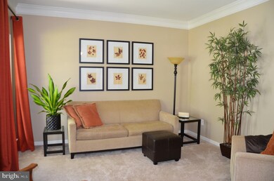 21473 Chickacoan Trail Dr, Broadlands, VA 20148 - photo 5