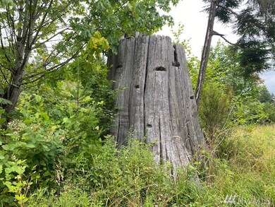 1 Hinkley Rd, Toledo, WA 98591 - photo 4