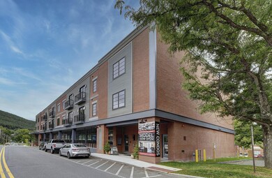 34 Bridge St unit 209, Great Barrington, MA 01230 - photo 2