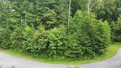 12 Forest Spring Dr unit 36, Asheville, NC 28804 - photo 4