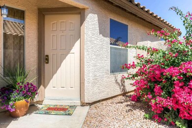 1122 W Bluebird Drive Chandler-large-003