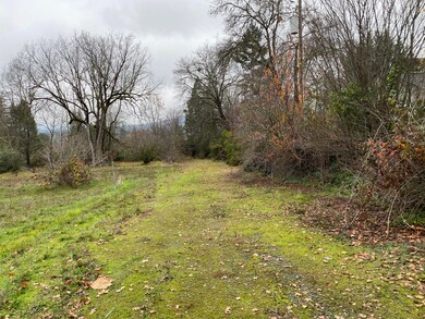 1316 NE Beacon Dr, Grants Pass, OR 97526 - photo 3