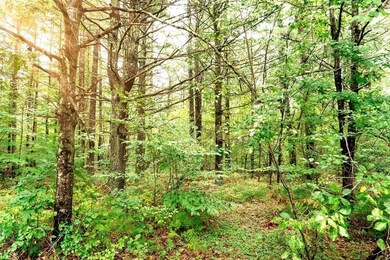 135 Plain St, Rehoboth, MA 02769 - photo 4