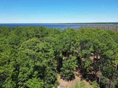 DJI_0029