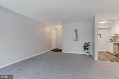 8850 Spiral Cut unit L, Columbia, MD 21045 - photo 6