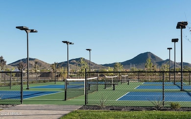 Pickleball courts