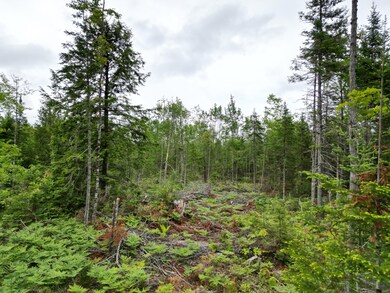 Off Main Rd, Passadumkeag, ME 04475 - photo 6